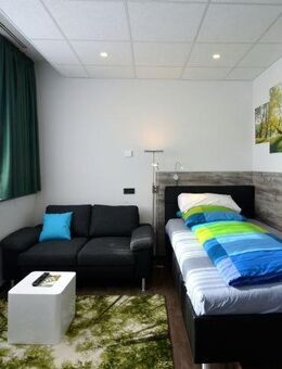 Schönes 1-Zimmer-Penthouse-Apartment, klein & exklusiv, komplett ausgestattet, Innenstadt Offenbach - Offenbach (Main)