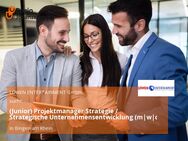 (Junior) Projektmanager Strategie / Strategische Unternehmensentwicklung (m|w|d) - Bingen (Rhein)
