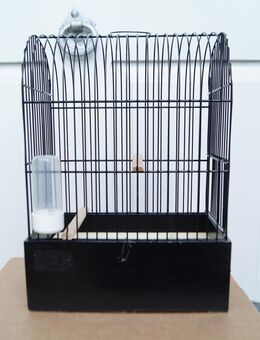 Kuppel - Schaukäfige für Kanarienvögel - Limburgerhof