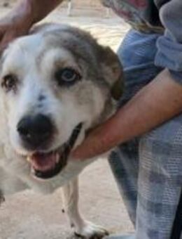 Oma Sandy möchte ein Mal Liebe spüren - Mettmann