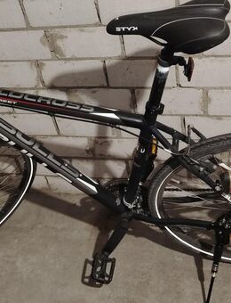 Bulls Wildcross Street Bike - Karlsruhe