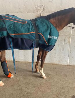 Bemer Horse Set zu verkaufen - Zwiefalten