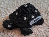 Dekorative Schildkröte Glitzer - Wildau