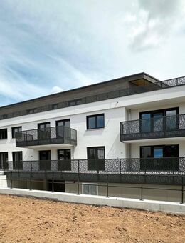 Tolle 2-Zimmer-Erdgeschoss-Wohnung mit ca. 73 m² Wohnfläche - Effizienzhaus 55 nach GEG 2023 - Güglingen