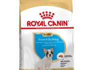 Sparpaket Royal Canin - French Bulldog Puppy (2 x 10 kg)