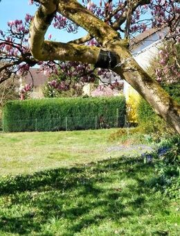 Märchenhaftes Paradies in familienfreundlicher Umgebung... - Gottmadingen