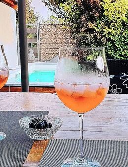 Geräumiges Familien-Domizil, oder luxuriöse -junge-Senioren-(WG 55+) mit Pool, Kapitalanlage - Ludwigshafen (Rhein)