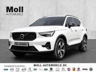 Volvo XC40 Plus Dark 2WD B4 EU6d digitales Cockpit Memory Sitze Soundsystem HarmanKardon 360 Kamera - Aachen