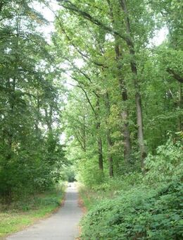 Haus (Dresden) Ottendorf 6 Zi, Kü, Bad, saniert/renoviert zum Bezug fertig - Ottendorf-Okrilla