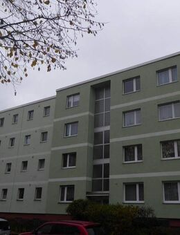 Urbanes Wohnen mit Ruhe und Blick ins Grün: 2-Zimmerwohnung in Lichtenrade! - Berlin