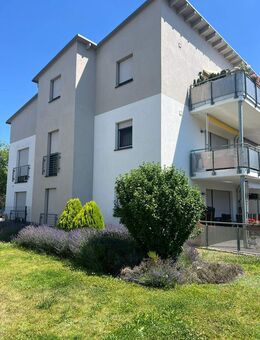 Neubau Mehrfamilienhaus Baujahr 2015 - Sandersdorf Sandersdorf