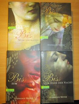 Biss-Serie v. Stephenie Meyer in 4 Büchern Teil 1-4 Twilight Saga Vampirgeschichte - Naumburg (Saale) Janisroda