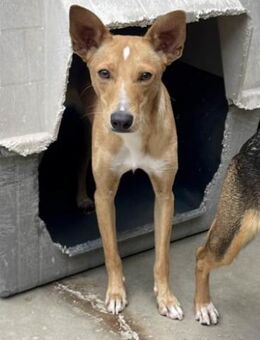 Mateo - Neubrunn (Bayern)