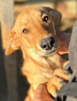 RUBIA ~ freundlich und aufgeschlossen - Duisburg