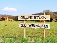 Bestimmen Sie die Größe Ihres Baugrundstücks selbst! - Erndtebrück