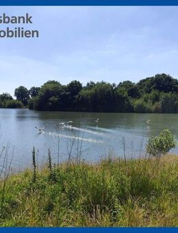 Bauernhaus am See in Apen! Natur pur auf 11 Hektar inklusive eigenem See vor der Haustür! - Apen
