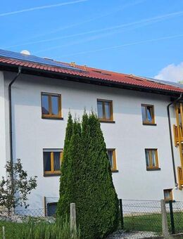 In guter Nachbarschaft: wunderschöne Gartenwohnung in zentrumsnaher Lage in Vilshofen/Donau - Vilshofen (Donau)