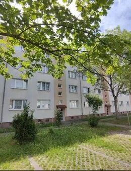 Moderne 4 Raum Wohnung mit Balkon nur 300m zum Zwenkauer See - Zwenkau