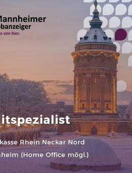 Revisor (m/w/d) für Kundenprozesse mit Schwerpunkt Kreditgeschäft Vollzeit / Teilzeit - Weinheim