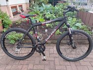 26zoll Mountainbike von Univega. - Schifferstadt