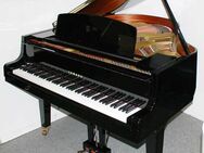 Flügel Klavier Yamaha GH1, schwarz poliert, 161 cm, Nr. 5290600, Baujahr 1993 - Egestorf