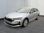 Skoda Octavia, Combi Selection E, Jahr 2024 - Buchholz (Nordheide)