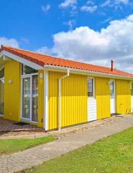 Komfortables Ferienhaus | Blick auf den Nordseedeich - Friedrichskoog