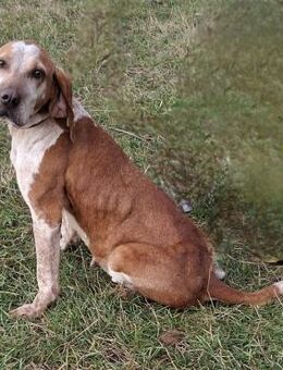 Milla - Weilmünster