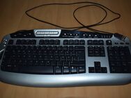 Microsoft Digital Media Pro Keyboard (PC Tastatur) - Karlsruhe