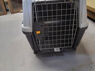 Hundekäfig - Haren (Ems)