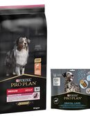 14 kg PURINA PRO PLAN Adult + 426 g Dental Care Snack für große Hunde gratis! - Medium Sensitive Skin in 00000
