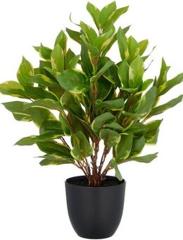 Kunstpflanze Epipremnum aureum, Creativ green, Höhe 40 cm, mit schönem Blattwerk