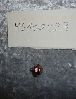MS100223 FLSCHRAUBE 6X10 - Hannover Vahrenwald-List