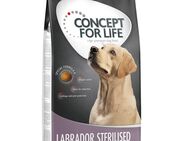 12 kg Concept for Life zum Sonderpreis! - Labrador Sterilised