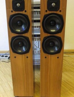 VERKAUFE AVALON ACOUSTIC NP 2.0, High End Standlautsprecher - Saarbrücken