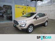 Ford EcoSport, Trend Notbremsass Vorb Berganfahrass Kollisionswarner, Jahr 2019 - Warburg (Hansestadt)