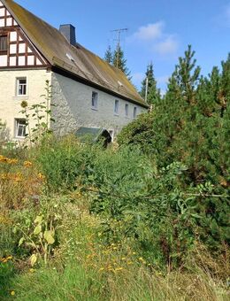 Denkmalgeschütztes Haus auf ca. 1300 qm Gartengrundstück nahe Selb in idyllischer ländlicher Lage - Selb