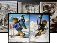 5 schöne, alte Mecki-Postkarten – toll für Sammler oder Liebhaber des kleinen Kerlchens - Niederfischbach