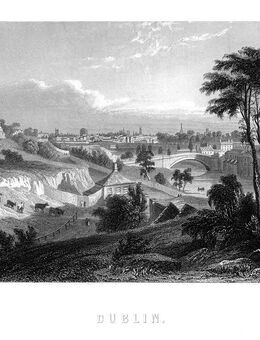 Irland: Dublin. Gesamtansicht . Originaler Stahlstich Rouargue um 1850 - Bautzen