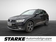 VW Tiguan, 2.0 TDI Highline, Jahr 2019 - Georgsmarienhütte