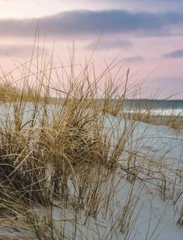 Hervorragende Lage, nur wenige Schritte entfernt vom Strand! - Timmendorfer Strand