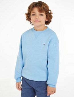 Tommy Hilfiger Sweatshirt U TIMELESS SWEATSHIRT Babys bis 2 Jahre, Logostickerei, Rundhals
