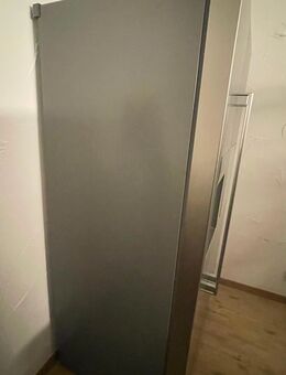 Hanseatic Kühlschrank mit Gefrierfach und Eiswürfel Zubereitung ,Crasheis oder einfach nur Wasser. - Hainspitz