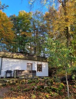 Haus für Naturliebhaber mitten in der Fränkischen Schweiz auf Traumgrundstück - Waischenfeld