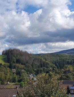 Bergblick, Frühlingssonne und Ausblick zum Brocken! - Altenau Zentrum