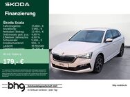 Skoda Scala, 1.0 TSI Ambition Scala Drive 125, Jahr 2020 - Freiburg (Breisgau)