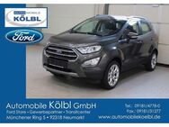 Ford EcoSport 1.0 EcoBoost Titanium, KAMERA/SHZ/PDC - Neumarkt (Oberpfalz) Zentrum