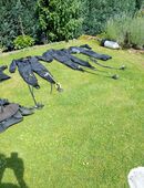 Tauchanzuege, Unterzieher, Kopfhauben, Tauchhandschuhe, Taucherlampen.... in 42329