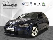 VW Golf, 1.5 TSI VIII Life (EURO 6d), Jahr 2023 - Billerbeck