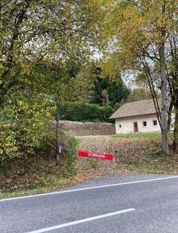 Sanierungsbedürftiges Einfamilienhaus - im Außenbereich - selten erwerbbar - Neukirchen (Heiligen Blut)